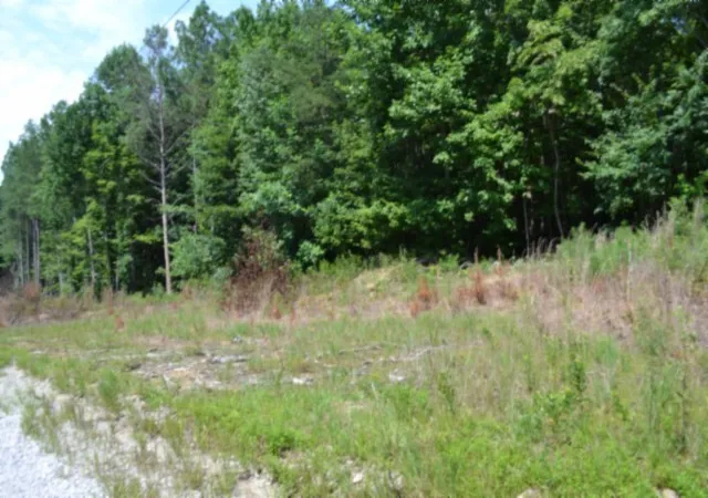 Photo 3 of Land for sale at 0 Topside Dr, Spencer, TN 38585 | MLS# 3312675 | Listing updated on 2026-08-03