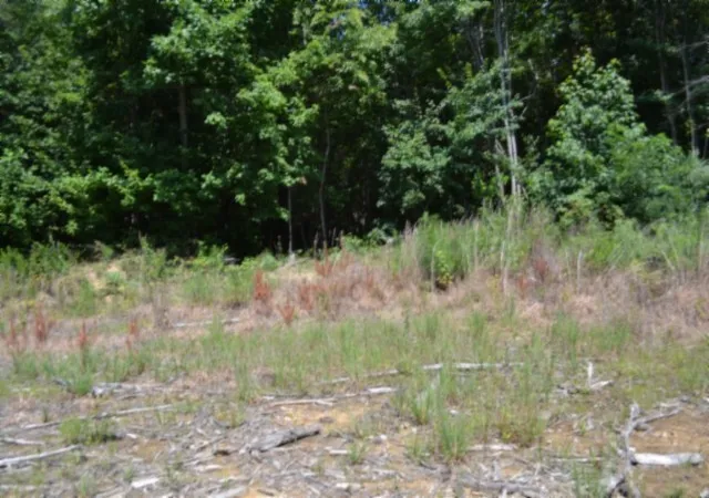 Photo 3 of Land for sale at 0 Topside Dr, Spencer, TN 38585 | MLS# 3312675 | Listing updated on 2026-08-03
