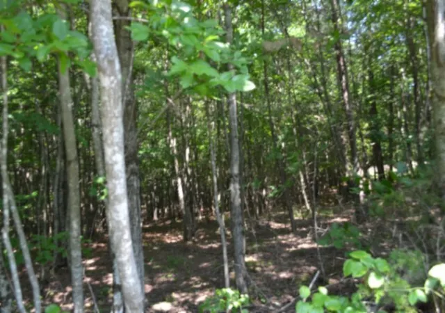 Photo 4 of Land for sale at 0 Topside Dr, Spencer, TN 38585 | MLS# 3312675 | Listing updated on 2026-08-03