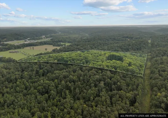 54th image of 260 Perkins Ln, Waverly, TN 37185 | MLS# 3318504