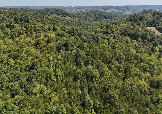 4th image of 2819 Yell Rd, Lewisburg, TN 37091 | MLS# 3312699