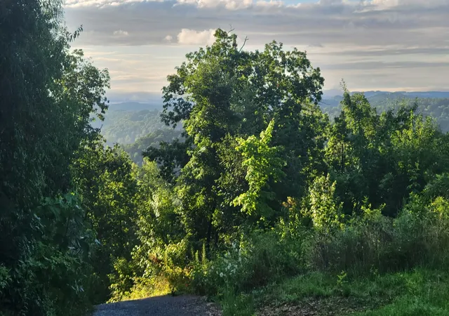 1st image of 260 Riddle St, Dayton, TN 37321 | MLS# 3314231