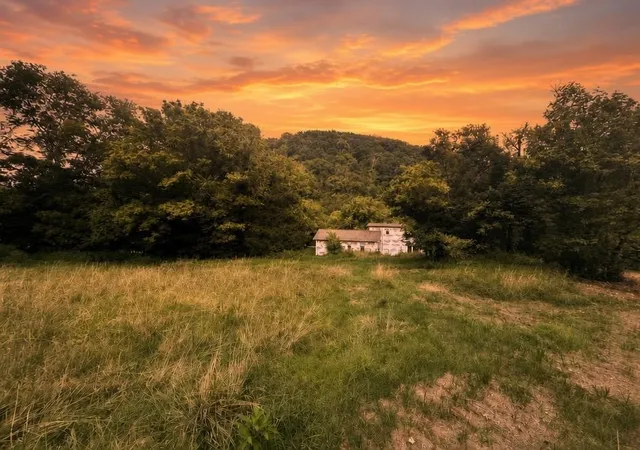 1st image of 303 Little Creek Rd, Pleasant Shade, TN 37145 | MLS# 3314371