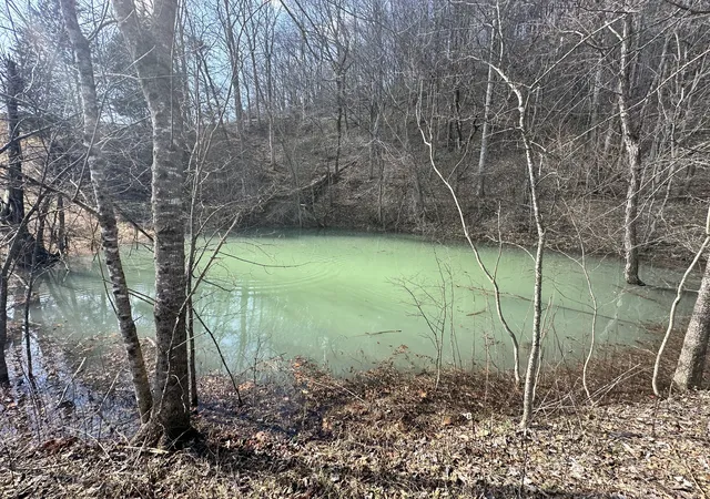 3rd image of 303 Little Creek Rd, Pleasant Shade, TN 37145 | MLS# 3314371