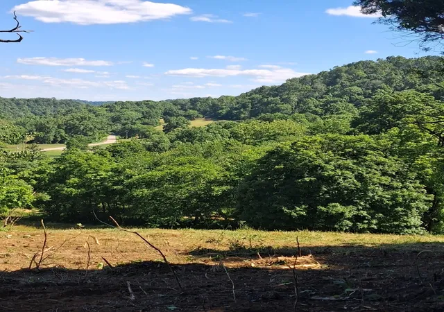4th image of 303 Little Creek Rd, Pleasant Shade, TN 37145 | MLS# 3314371