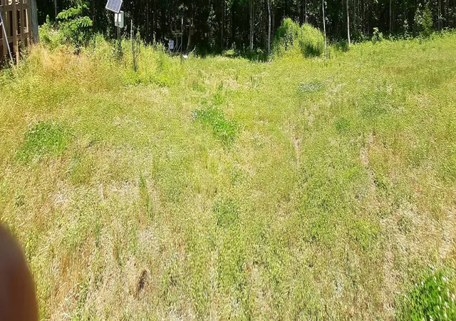 Photo 4 of Land for sale at 10 Lakewood Park Dr, Beechgrove, TN 37018 | MLS# 3527110 | Listing updated on 2026-09-21