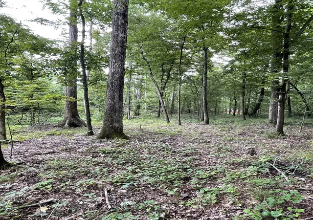 2nd image of 0 Brownfield Rd, Dover, TN 37058 | MLS# 3314629