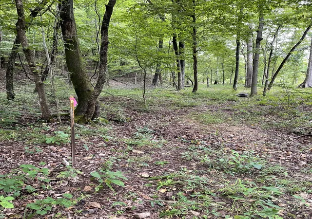 Photo 2 of Land for sale at 0 Brownfield Rd, Dover, TN 37058 | MLS# 3314629 | Listing updated on 2026-07-31