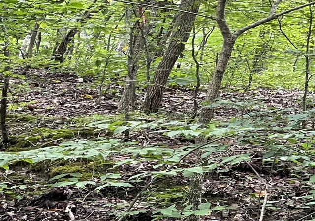 Photo 3 of Land for sale at 0 Brownfield Rd, Dover, TN 37058 | MLS# 3314629 | Listing updated on 2026-07-31