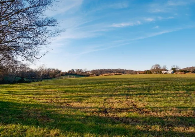 16th image of 3016 Blythe Meadow Ln, Arrington, TN 37014 | MLS# 3318850