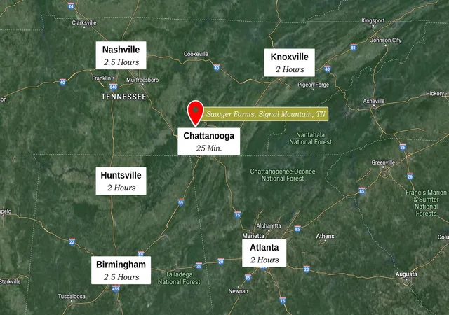 21st image of 1805 Sawyer Farms Lane, Signal Mountain, TN 37377 | MLS# 3314781