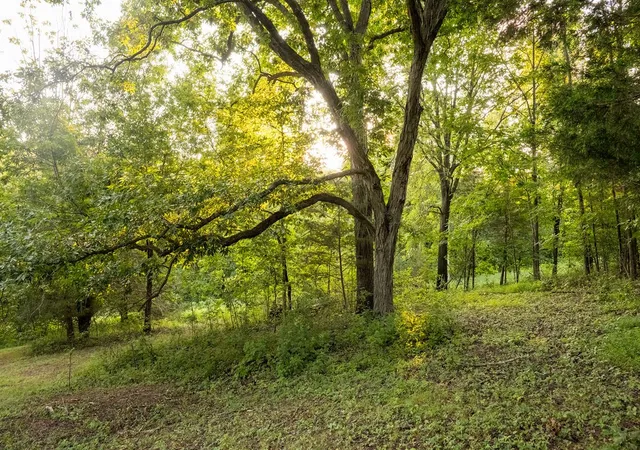 100th image of 128 Leath Ln, Bethpage, TN 37022 | MLS# 3314844
