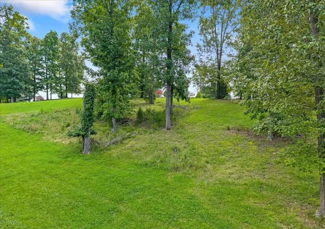 5th image of 421 Waterfront Way, Spring City, TN 37381 | MLS# 3314841
