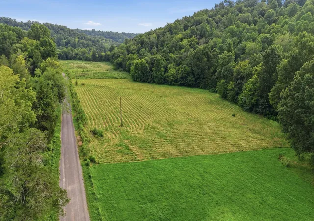 1st image of 0 Cathcart Road, Frankewing, TN 38459 | MLS# 3319306
