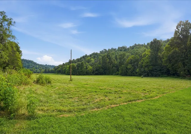 28th image of 0 Cathcart Road, Frankewing, TN 38459 | MLS# 3319306
