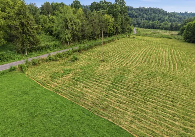 4th image of 0 Cathcart Road, Frankewing, TN 38459 | MLS# 3319306