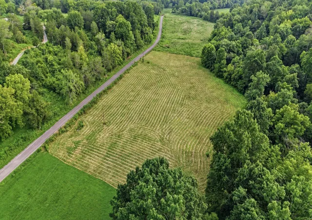 5th image of 0 Cathcart Road, Frankewing, TN 38459 | MLS# 3319306