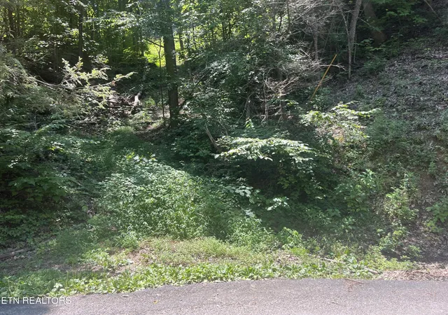 Photo 1 of Land for sale at 331 Ridgefield Dr, Sevierville, TN 37876 | MLS# 3540135 | Listing updated on 2026-09-03