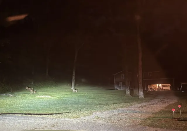 25th image of 1961 Sunny Side Dr, Brentwood, TN 37027 | MLS# 3316100