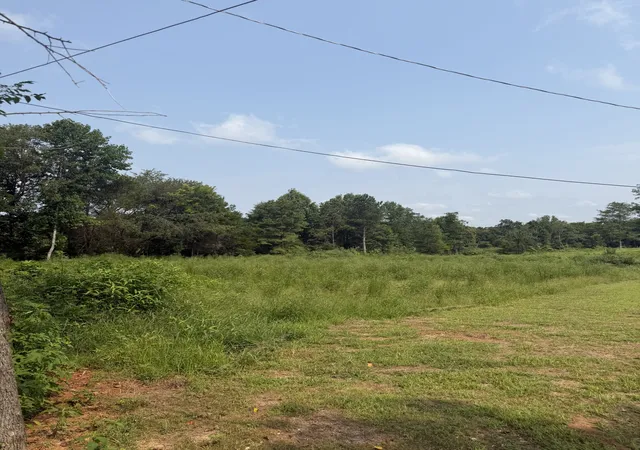 4th image of 0 Aedc Lakeview Rd, Estill Springs, TN 37330 | MLS# 3318452