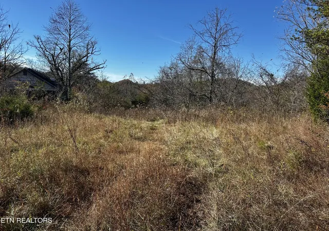 1st image of 0 Shaddon Road Lot 1, Tellico Plains, TN 37385 | MLS# 3317281