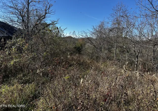 2nd image of 0 Shaddon Road Lot 1, Tellico Plains, TN 37385 | MLS# 3317281