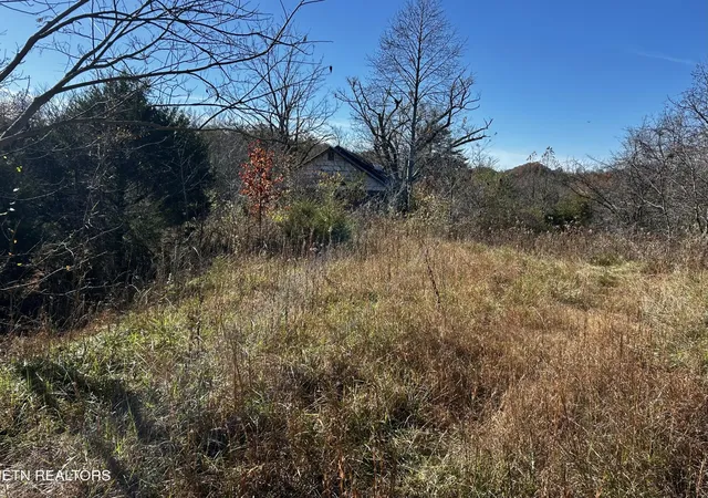 3rd image of 0 Shaddon Road Lot 1, Tellico Plains, TN 37385 | MLS# 3317281