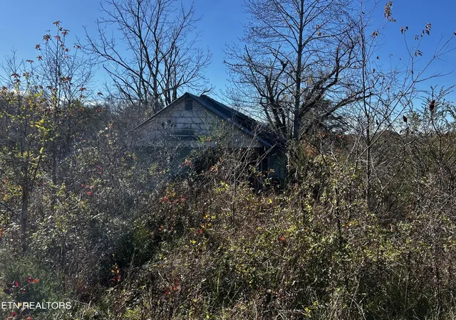 4th image of 0 Shaddon Road Lot 1, Tellico Plains, TN 37385 | MLS# 3317281