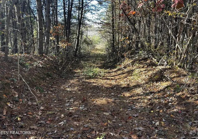 1st image of 0 Shaddon Road Lot 2, Tellico Plains, TN 37385 | MLS# 3317282