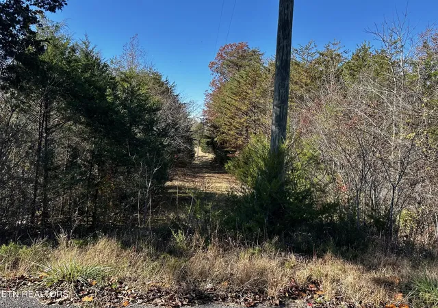Photo 3 of Land for sale at 0 Shaddon Rd Lot 2, Tellico Plains, TN 37385 | MLS# 3317282 | Listing updated on 2026-09-04