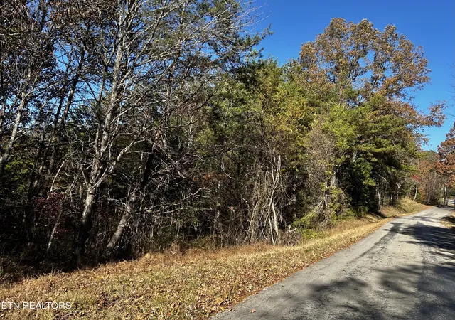 4th image of 0 Shaddon Road Lot 2, Tellico Plains, TN 37385 | MLS# 3317282