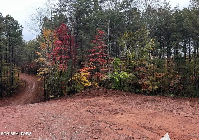 Photo 3 of Land for sale at 0 Ballplay Rd Lot 30, Madisonville, TN 37354 | MLS# 3317288 | Listing updated on 2026-09-04