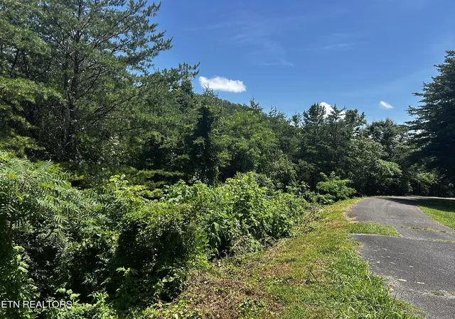 2nd image of 0 Highlands Bluff Rd, Tellico Plains, TN 37385 | MLS# 3317298