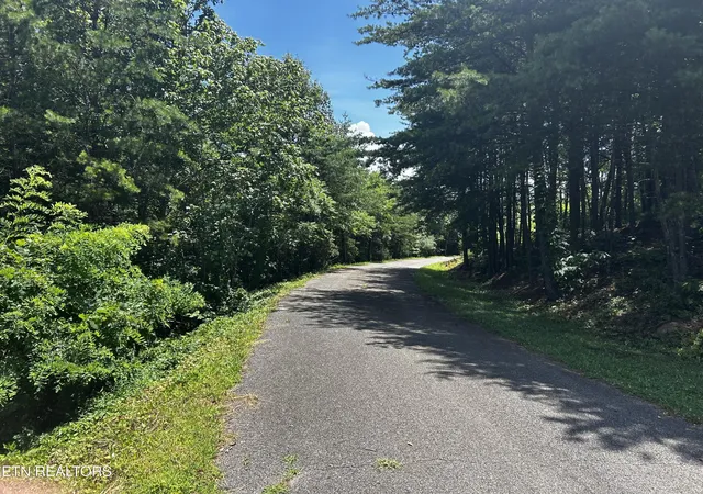 3rd image of 0 Highlands Bluff Rd, Tellico Plains, TN 37385 | MLS# 3317298
