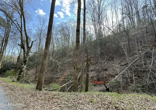 Photo 2 of Land for sale at 0 Hobe Maples Way, Sevierville, TN 37876 | MLS# 3317300 | Listing updated on 2026-08-03