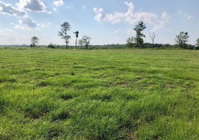 Photo 3 of Land for sale at 64 Cravens Rd, Savannah, TN 38372 | MLS# 3531423 | Listing updated on 2026-09-02