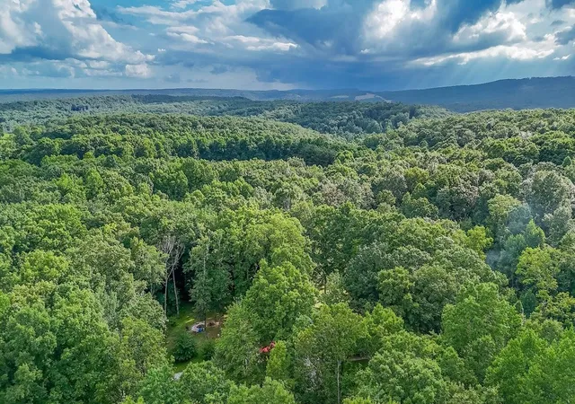 3rd image of 237 Chestnut Ridge Road, Spring City, TN 37381 | MLS# 3318455