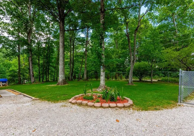 82nd image of 237 Chestnut Ridge Road, Spring City, TN 37381 | MLS# 3318455