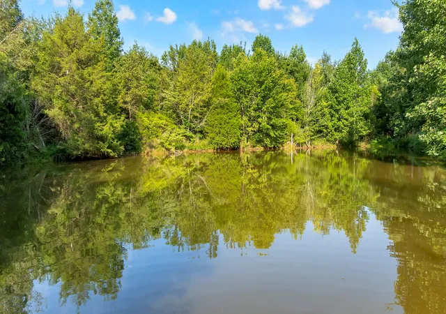 4th image of 3701 Oakwood Church Rd, Cedar Hill, TN 37032 | MLS# 3318468