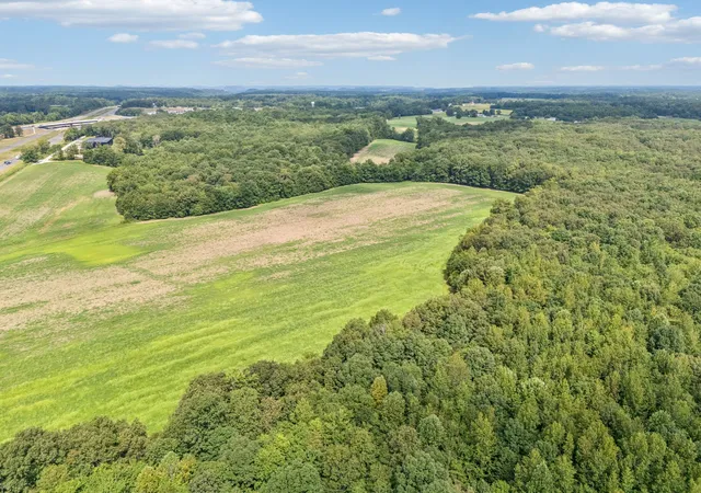 19th image of 0 Walter Barnes Ln, Manchester, TN 37355 | MLS# 3318719