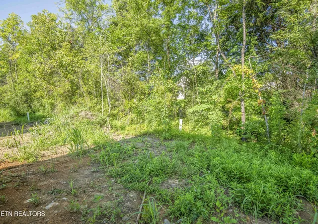 34th image of 0 Rock Gardens Dr, Sevierville, TN 37876 | MLS# 3521092