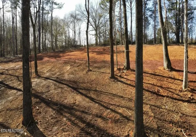 Photo 3 of Land for sale at 969 County Rd, Delano, TN 37325 | MLS# 3318721 | Listing updated on 2026-08-08
