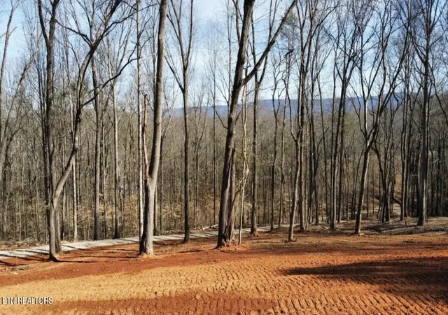 Photo 3 of Land for sale at 969 County Rd, Delano, TN 37325 | MLS# 3318721 | Listing updated on 2026-08-08
