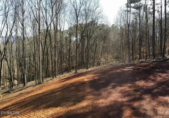 Photo 4 of Land for sale at 969 County Rd, Delano, TN 37325 | MLS# 3318721 | Listing updated on 2026-08-08