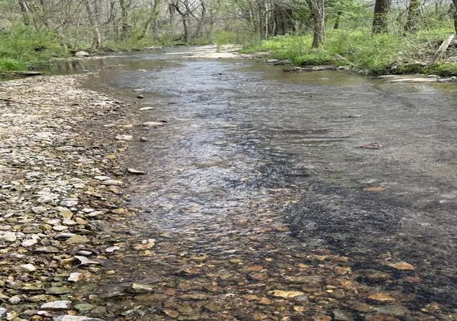 2nd image of 0 Opossum Paw Road, Beechgrove, TN 37018 | MLS# 3318743