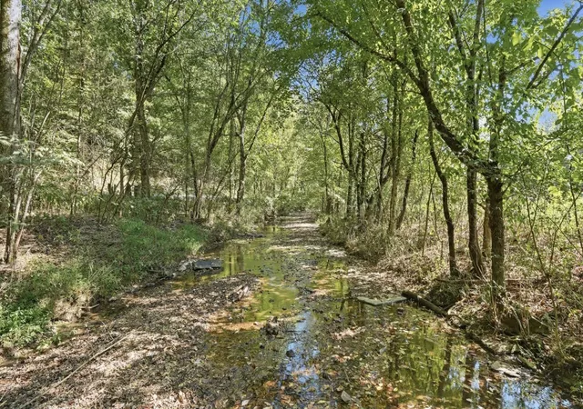 Photo 2 of Land for sale at 0 Opossum Paw Rd, Beechgrove, TN 37018 | MLS# 3318743 | Listing updated on 2026-10-09