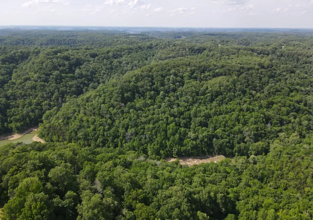 2nd image of 0 Clemons Ridge Rd, Silver Point, TN 38582 | MLS# 3506158