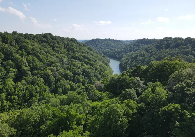3rd image of 0 Clemons Ridge Rd, Silver Point, TN 38582 | MLS# 3506158