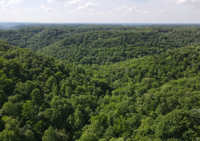 4th image of 0 Clemons Ridge Rd, Silver Point, TN 38582 | MLS# 3506158