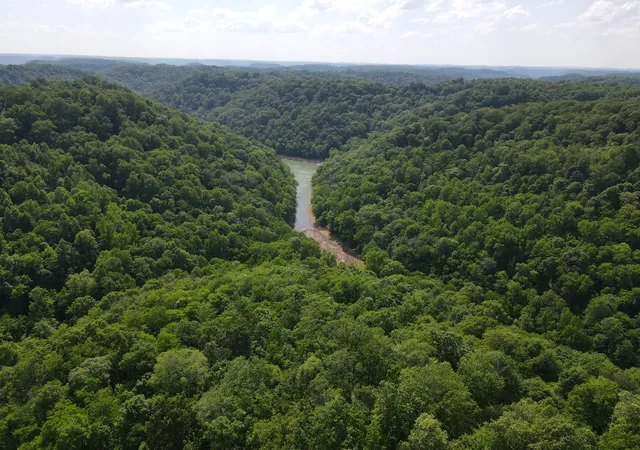 5th image of 0 Clemons Ridge Rd, Silver Point, TN 38582 | MLS# 3506158
